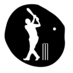 2024 KS1 Cricket Festival 